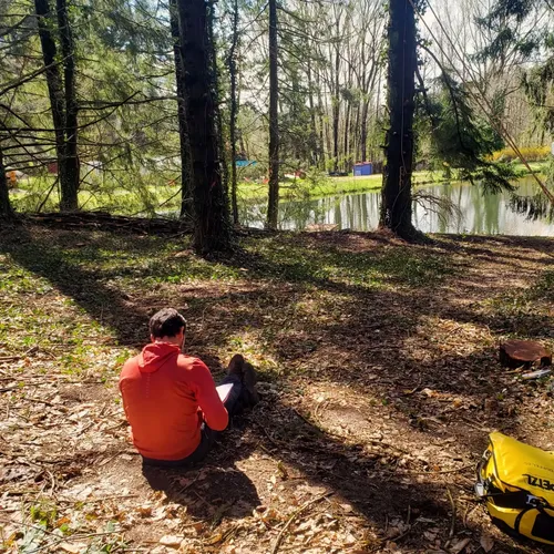Illustration d'un atelier de recherche Alabordarbre pendant lequel un groupe de personne est en train de chercher des indices au pied d'un arbre