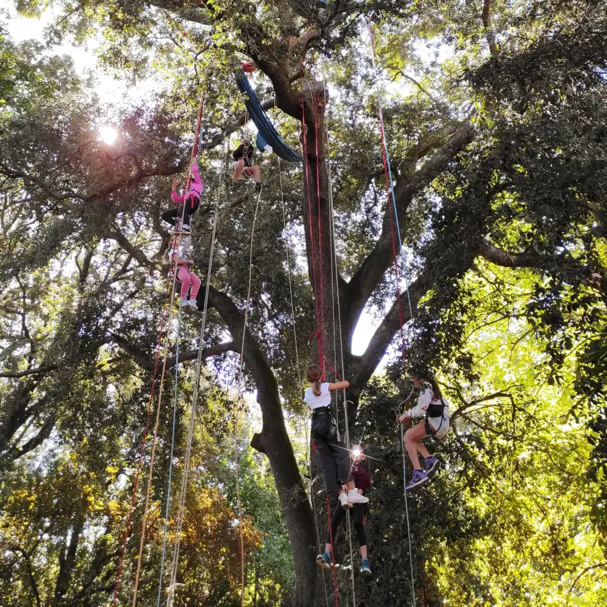 Illustration d'un événement Alabordarbre avec des personnes souriantes en cercle, écoutant les instructions de l'animatrice Lou équipée sur corde