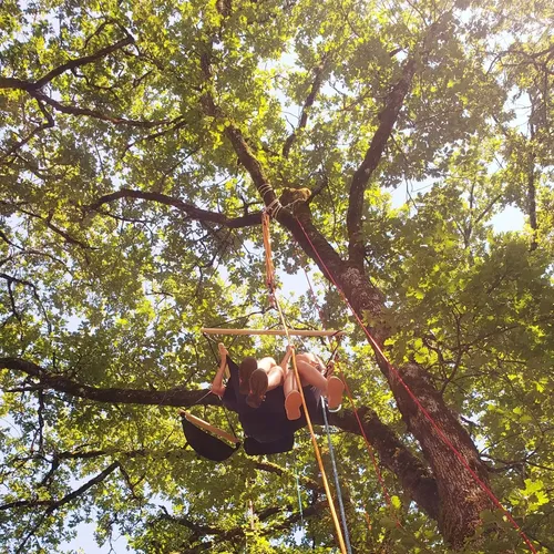Illustration d'un atelier sensoriel Alabordarbre où l'on aperçoit deux personnes grimpant dans le vide sur une corde