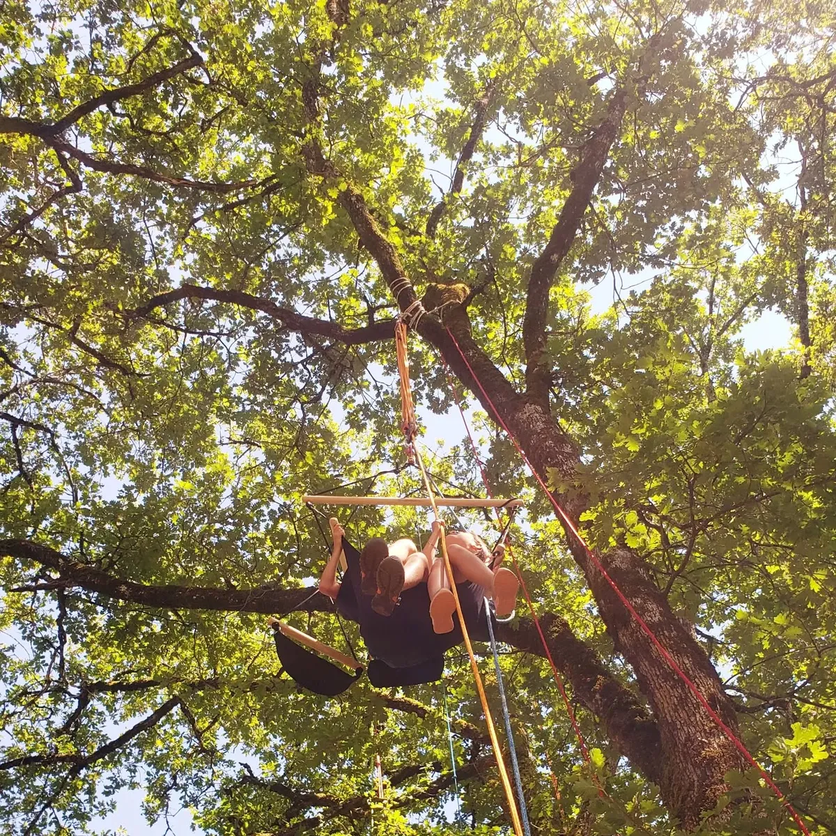Illustration d'un atelier sensoriel Alabordarbre où l'on aperçoit deux personnes grimpant dans le vide sur une corde