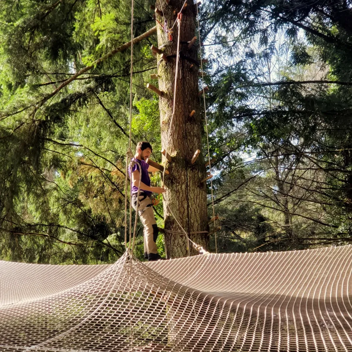 Illustration d'un atelier d'initiation à la grimpe d'arbre avec une personne encordée en progression