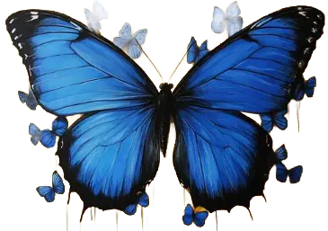 beautifull butterfly