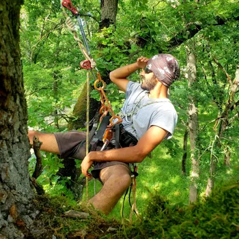 Vijay dans un arbre avec l'équipement de grimpe